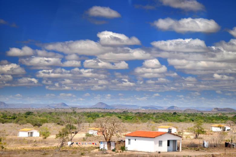 Free stock image of Caatinga created by CLEVER RICARDO CHINAGLIA