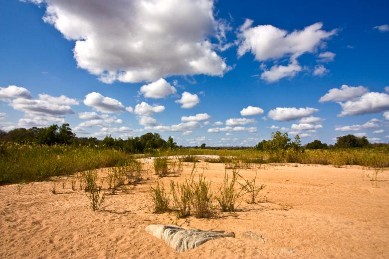 Free stock image of Kruger Park Landscape created by Nicolas Raymond