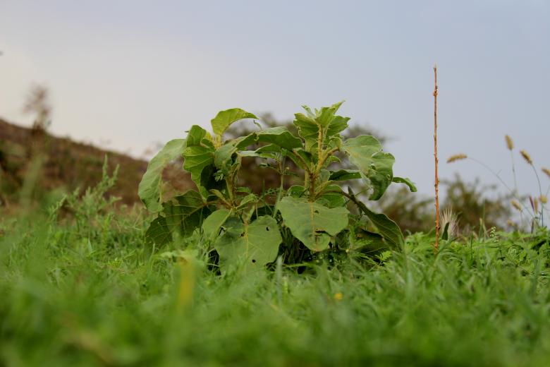 Free stock image of Picturesque nature created by basem