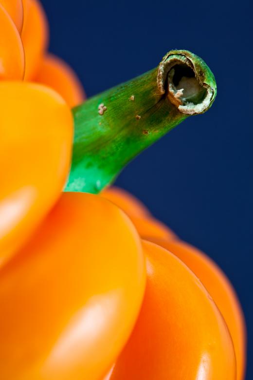 Free stock image of Orange Pepper Close-up created by Nicolas Raymond