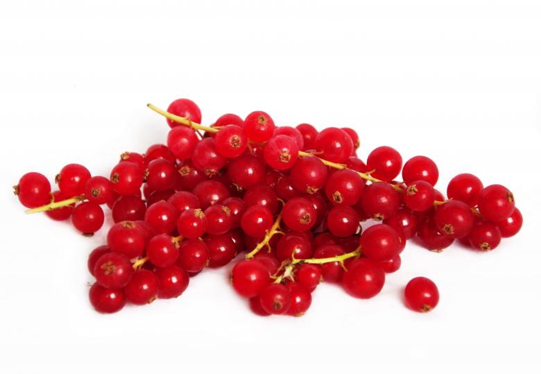 Free stock image of red currant created by Luka