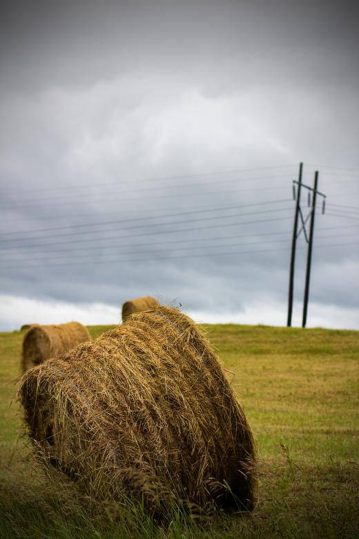 Free stock image of Hay bale created by Chris Mireault