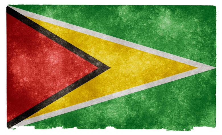 Free stock image of Guyana Grunge Flag created by Nicolas Raymond