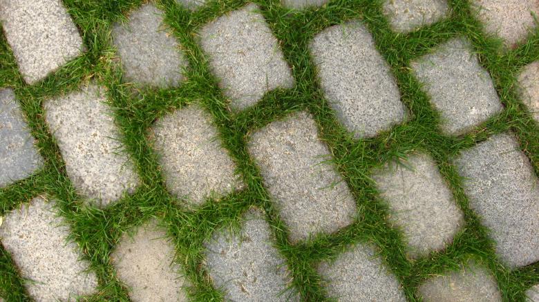 Free stock image of Grass between the stones created by Andrej