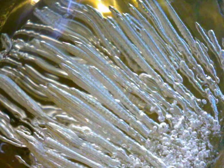 Free stock image of Tendrils of ice created by Gebyar Andyono