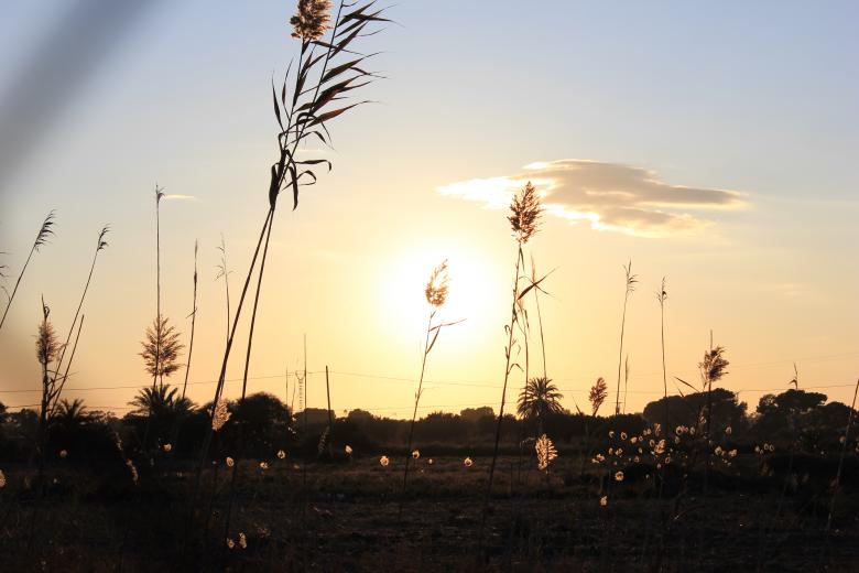 Free stock image of Sunset created by Carole Bouix