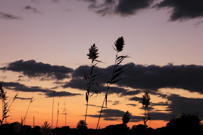 Free stock image of Sunset created by Carole Bouix