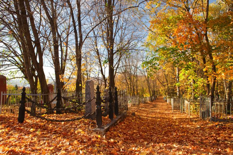 Free stock image of autumn scene created by 2happy