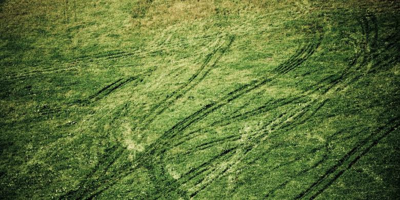 Free stock image of Grass tracks created by Luka