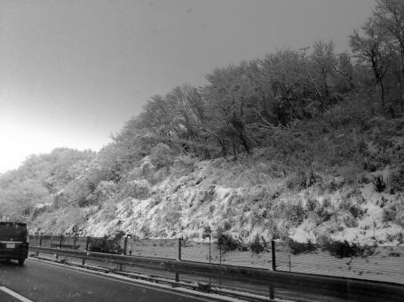 Snow road - Free Stock Photo