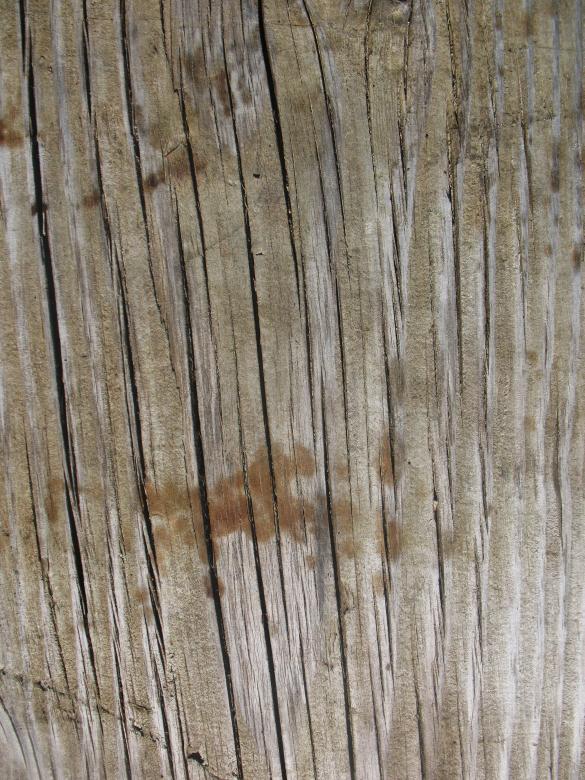 Free stock image of Wood Texture created by Free Texture Friday