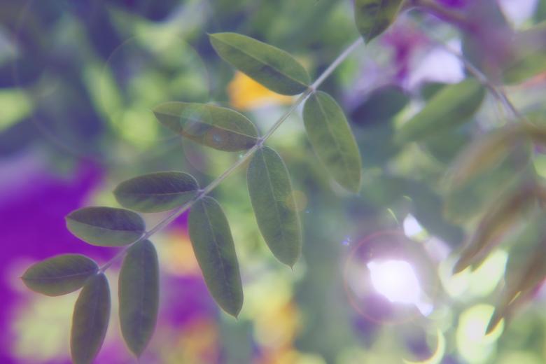 Free stock image of summer background created by 2happy