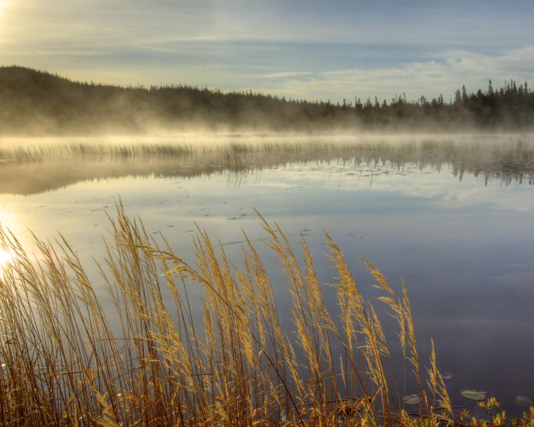 Free stock image of Lake created by Geoffrey Whiteway