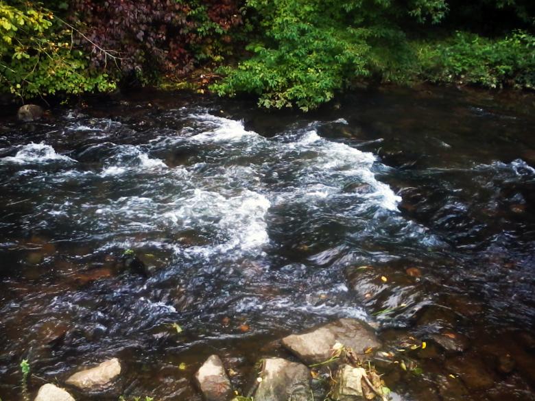 Free stock image of River created by Laura Dambite