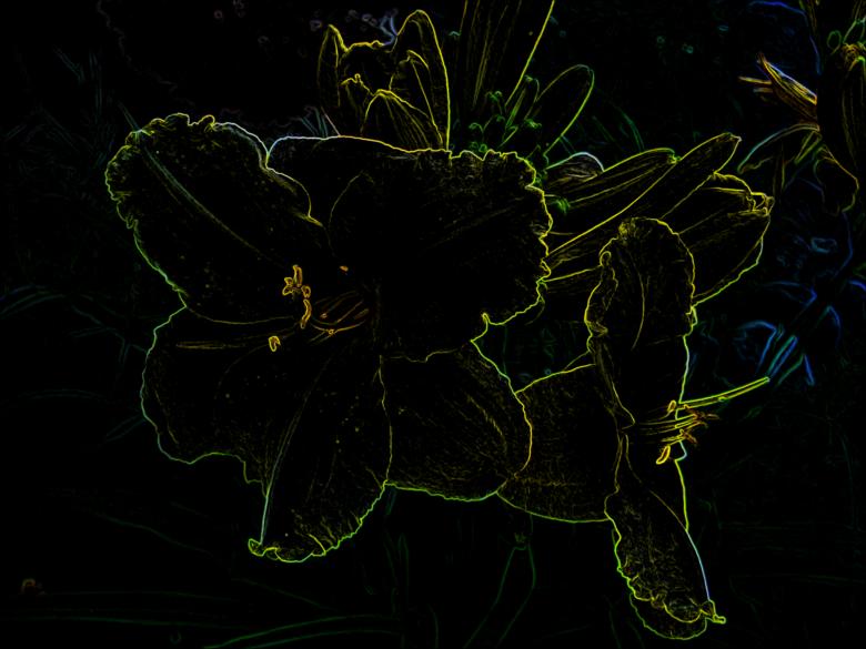 Free stock image of Neon lily created by Laura Dambite