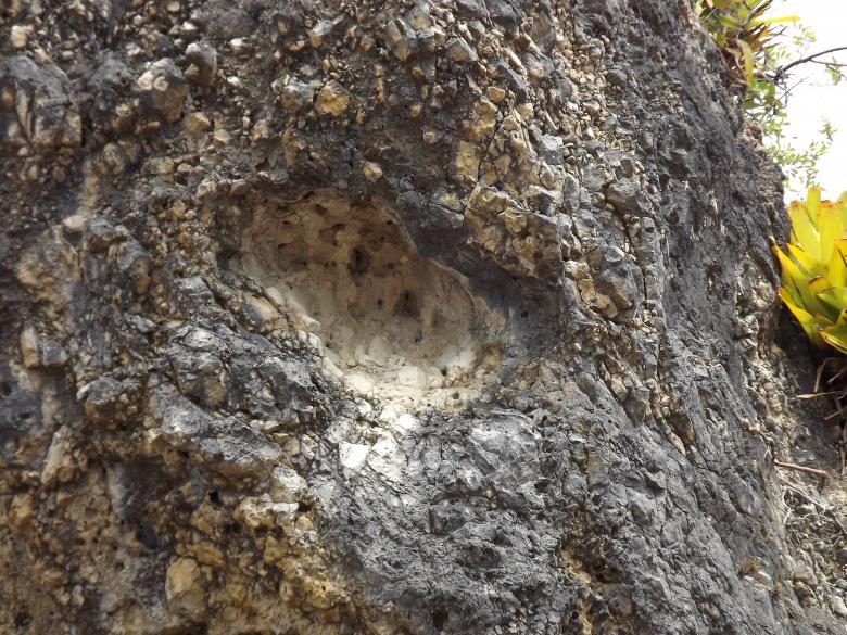 Free stock image of Brazilian Map in the Rock created by Edgar Eler