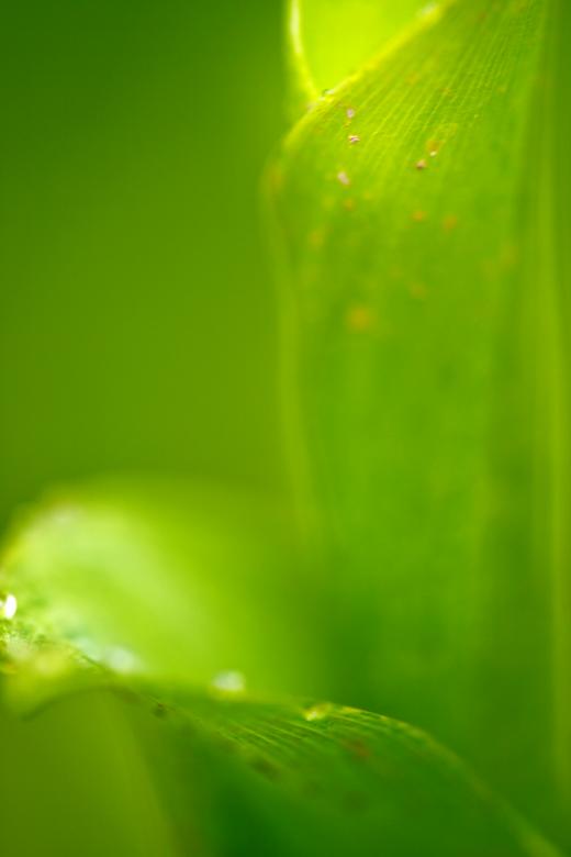 Free stock image of eco background created by 2happy