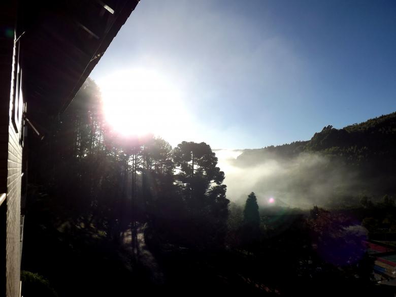 Free stock image of Sunrise, Fog and Forest created by Edgar Eler