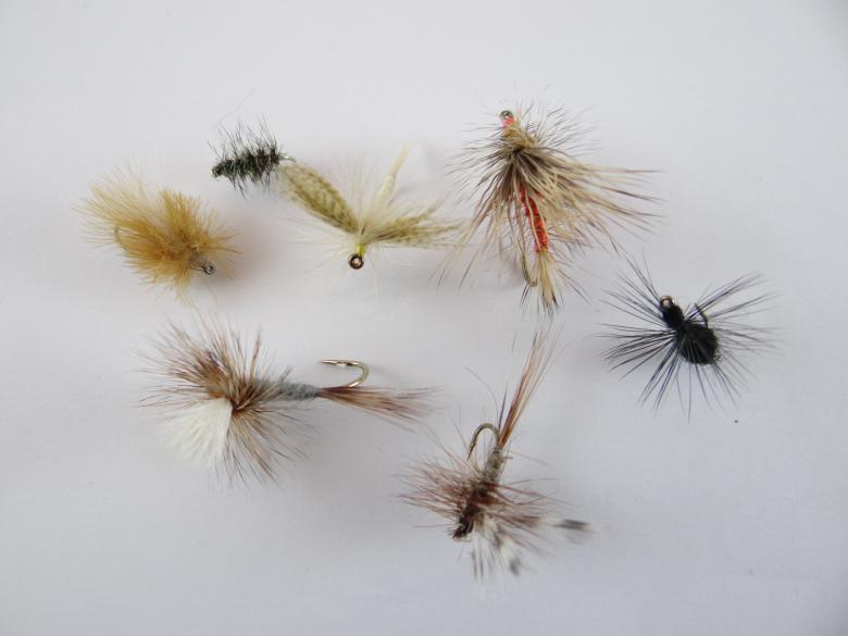 Free stock image of Dry fly created by Matias Riquelme