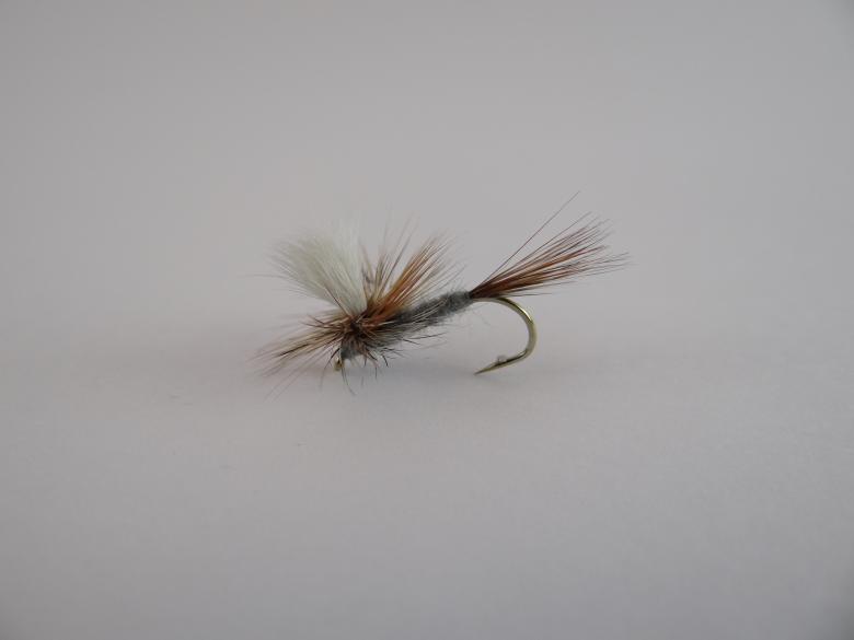 Free stock image of Parachute dry fly created by Matias Riquelme