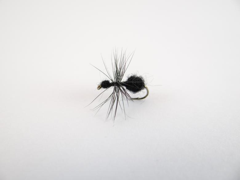 Free stock image of Black Ant dry fly created by Matias Riquelme