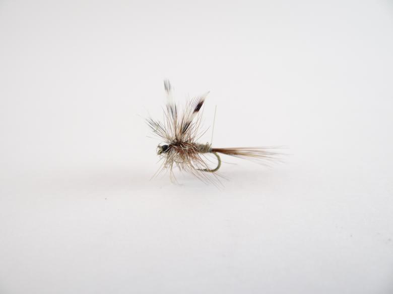 Free stock image of Adams dry fly created by Matias Riquelme