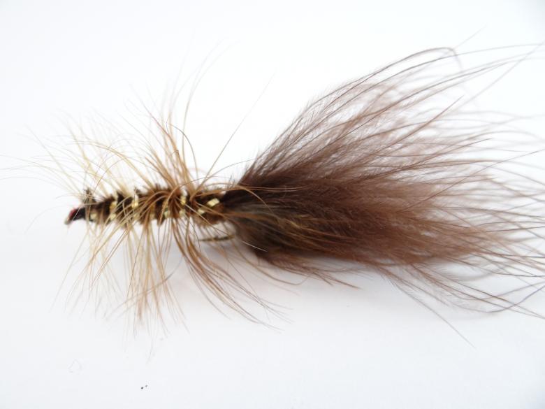 Free stock image of Brown Wolly Bugger created by Matias Riquelme
