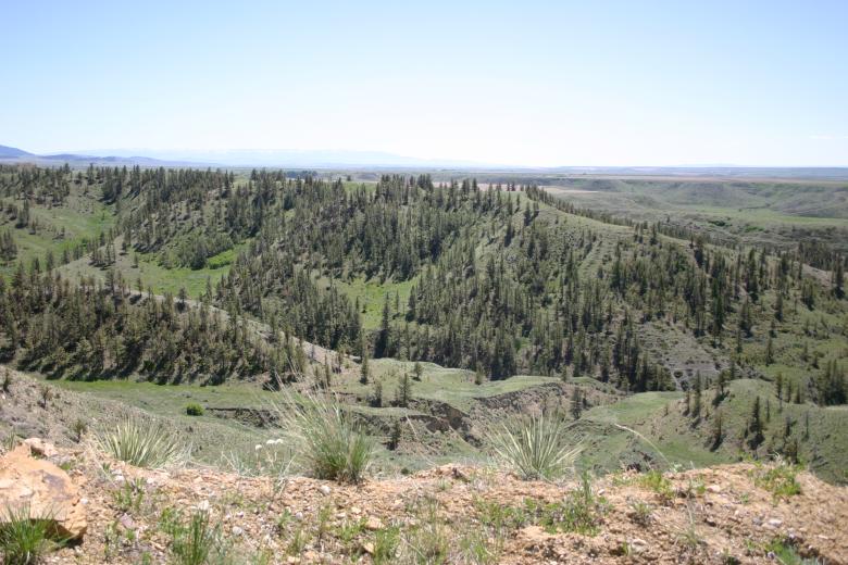 Free stock image of Middle of nowhere created by Clifford M. Kinsman