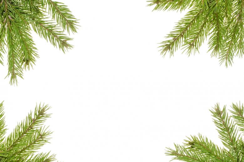 Free stock image of Fir branches created by 2happy