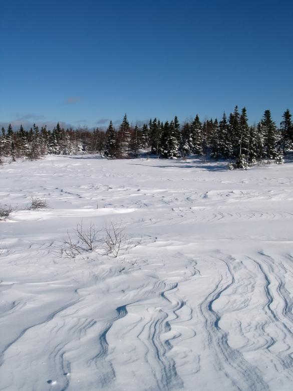 Free stock image of Winter Wonderland created by Geoffrey Whiteway