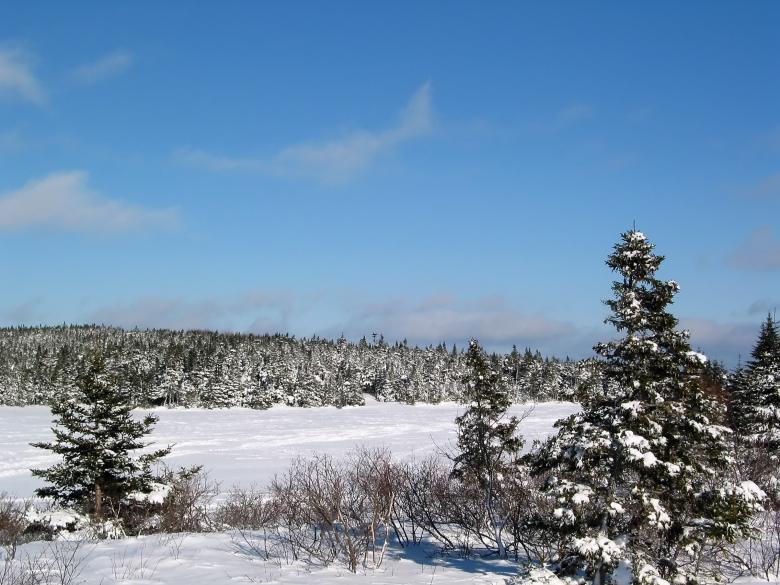 Free stock image of Winter Wonderland created by Geoffrey Whiteway