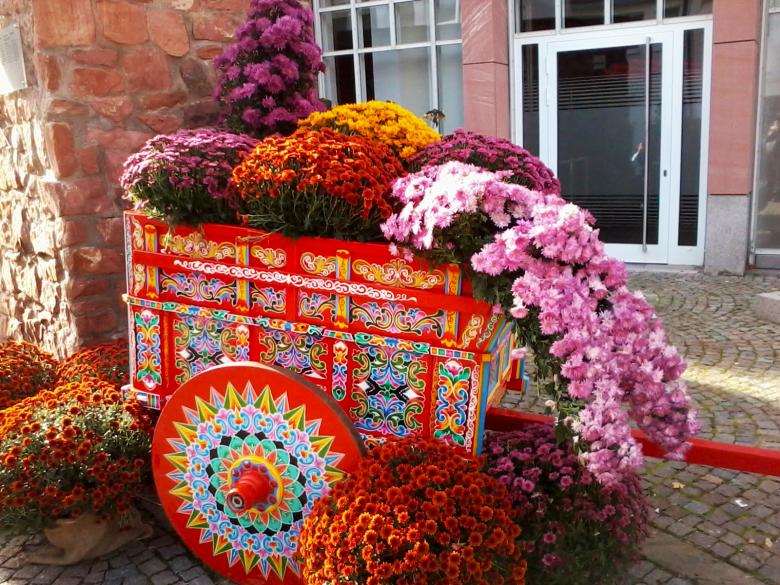 Free stock image of Chrysanthemum cart created by Laura Dambite