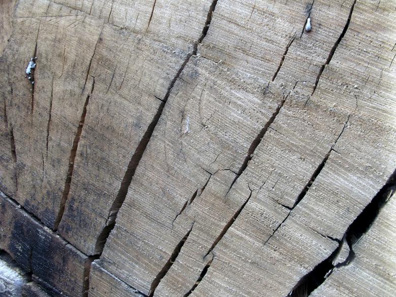 Free stock image of Cracked Wood created by James Walton