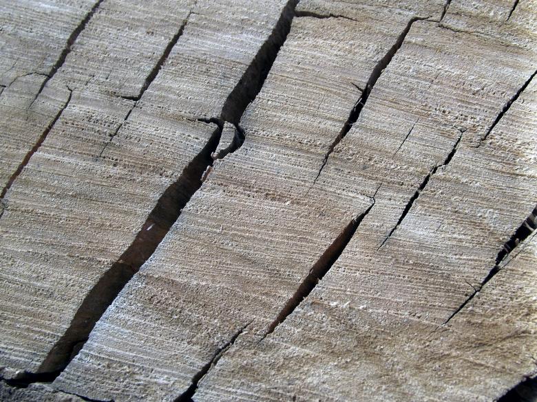 Free stock image of Cracked Wood created by James Walton