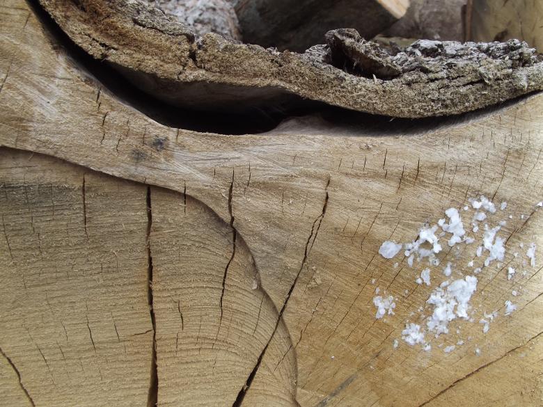 Free stock image of Cracked Wood created by James Walton