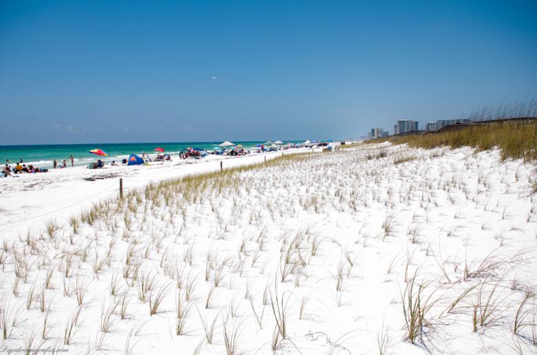 Free stock image of Panama city beach florida created by agphotostock.com