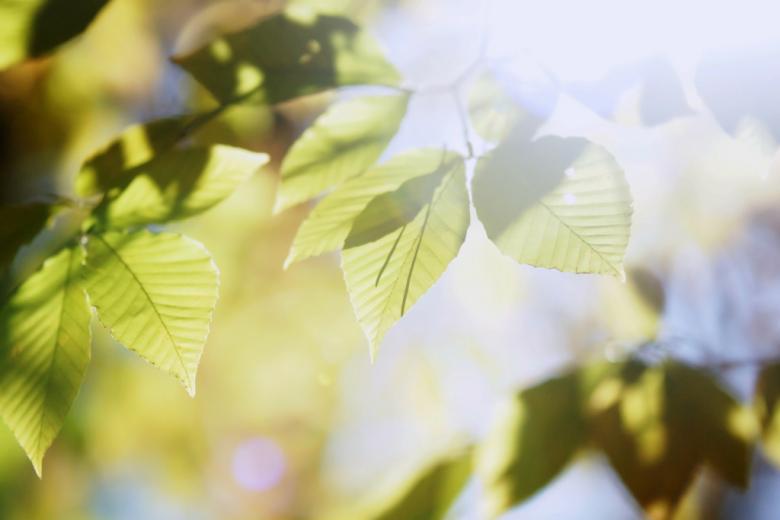 Free stock image of Fall season created by agphotostock.com