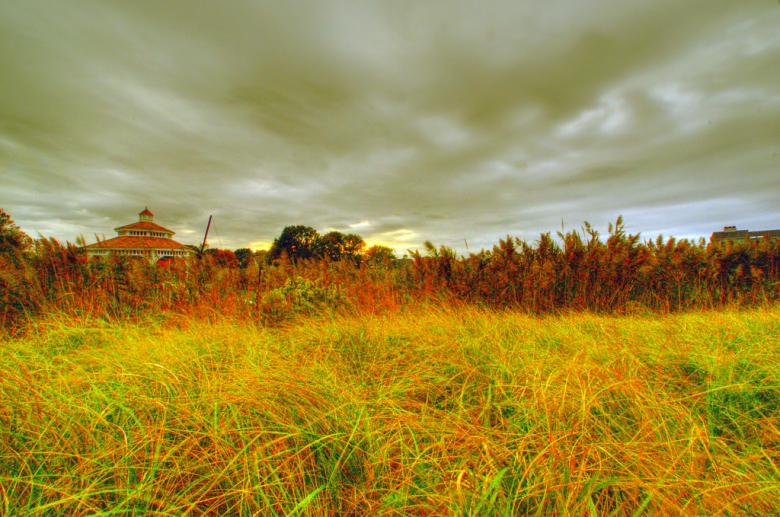 Free stock image of Yellow Landscape created by agphotostock.com