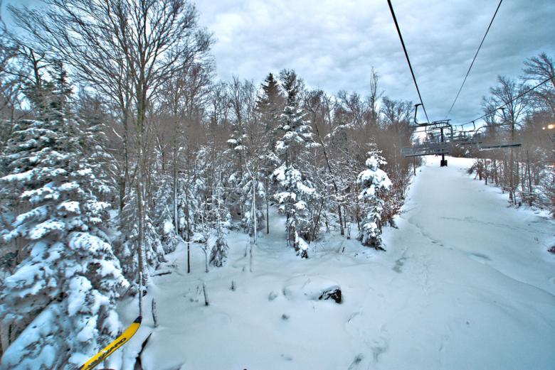 Free stock image of Winter Woods created by agphotostock.com