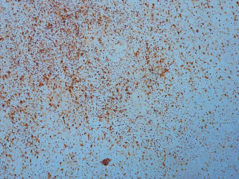 Free stock image of Rusted Metal created by Free Texture Friday