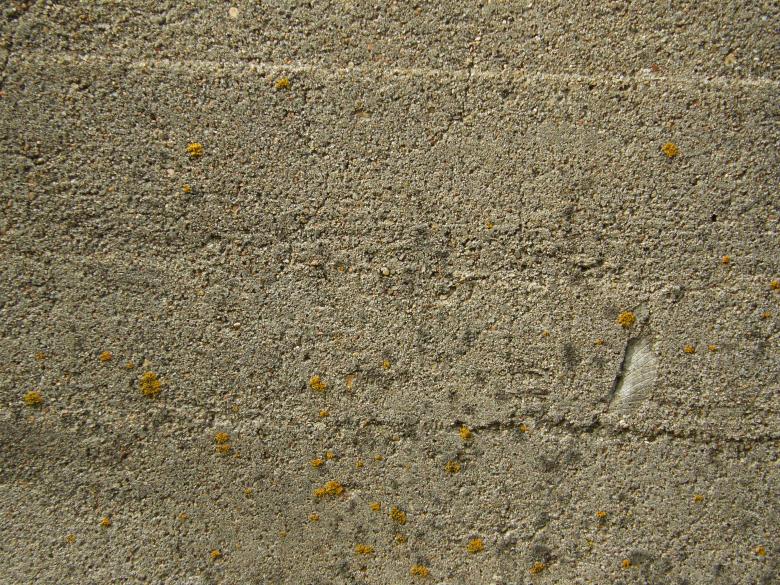 Free stock image of Grunge Concrete created by Free Texture Friday