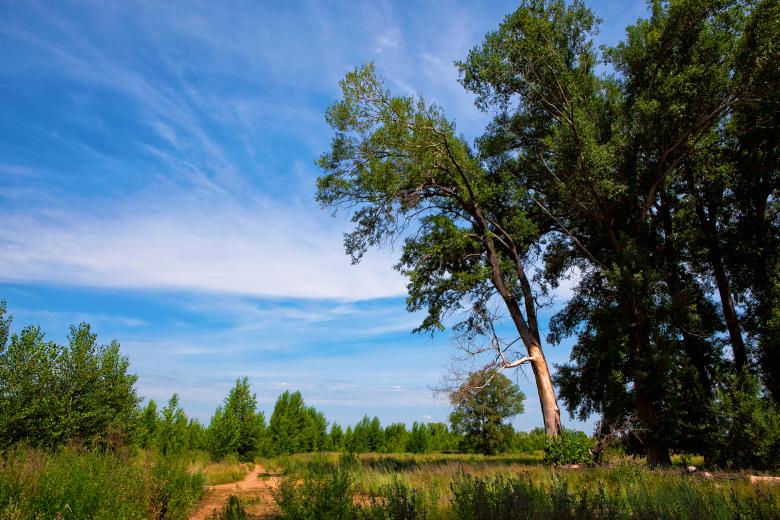 Free stock image of summer scene created by 2happy