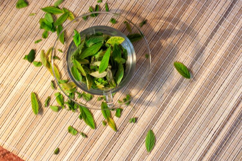 Free stock image of cup with leaves created by 2happy