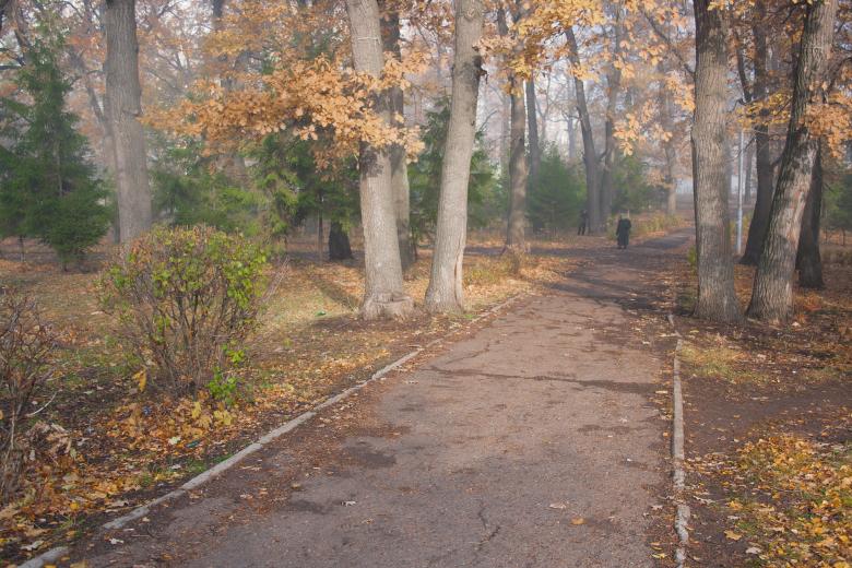 Free stock image of autumn park &amp; fog created by 2happy