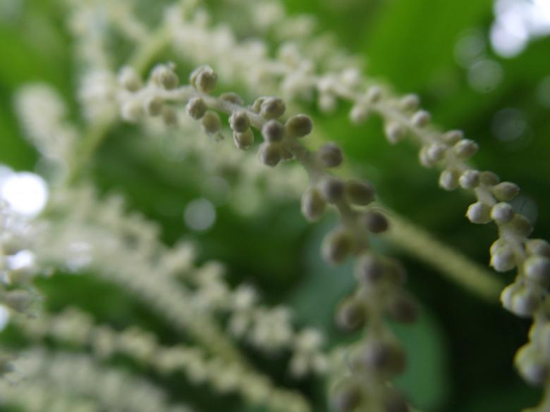 Free stock image of Nature background created by Janis Urtans