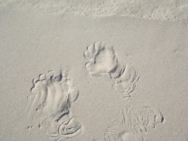 Free stock image of Hand Prints created by Janis Urtans