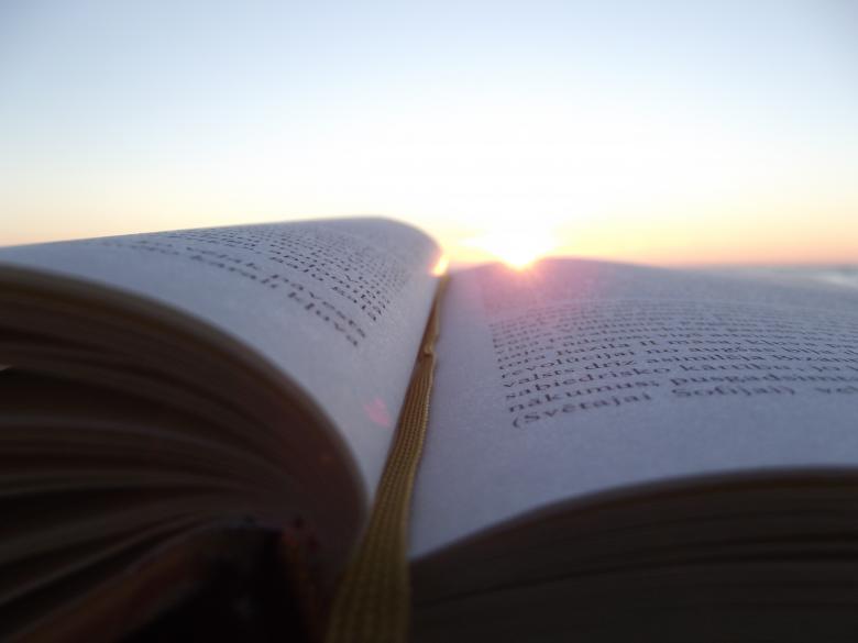 Free stock image of reading until sunset created by Janis Urtans