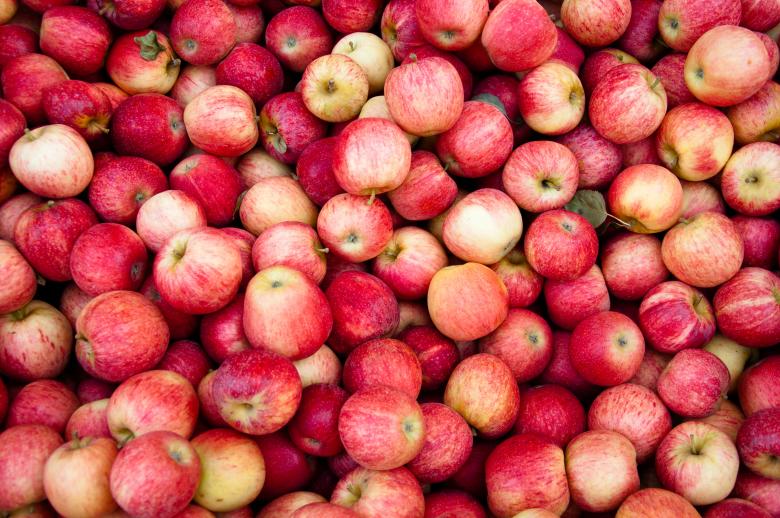 Free stock image of Red apples created by Luka