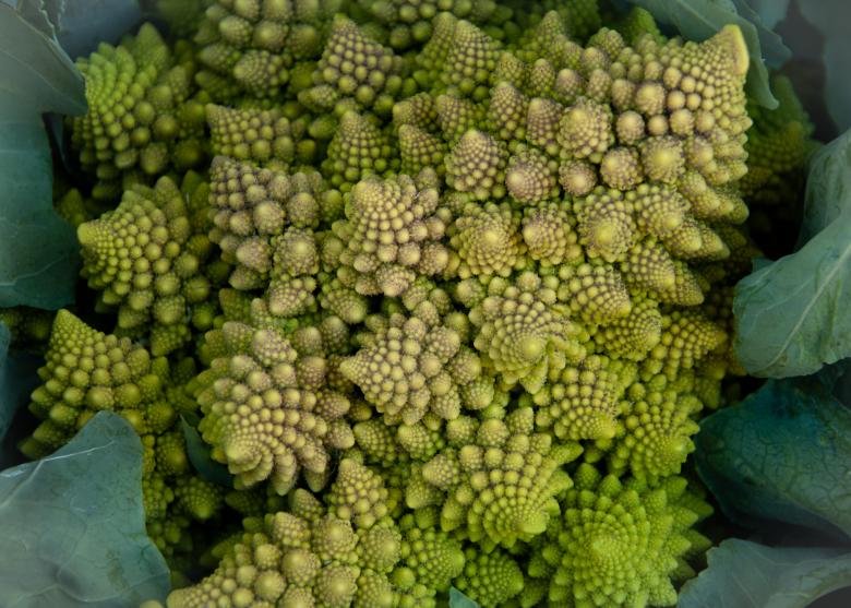 Free stock image of Green salad created by Luka