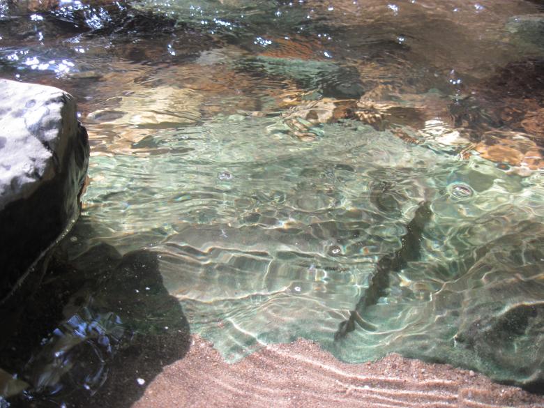 Free stock image of Still mountain river water created by Boris Kyurkchiev